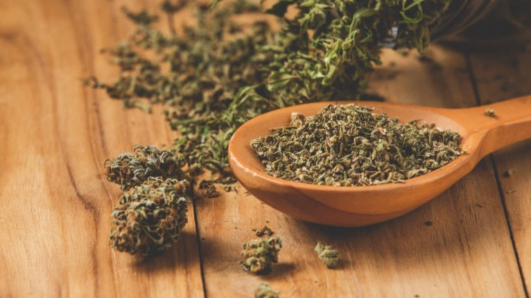 Horny Goat Weed